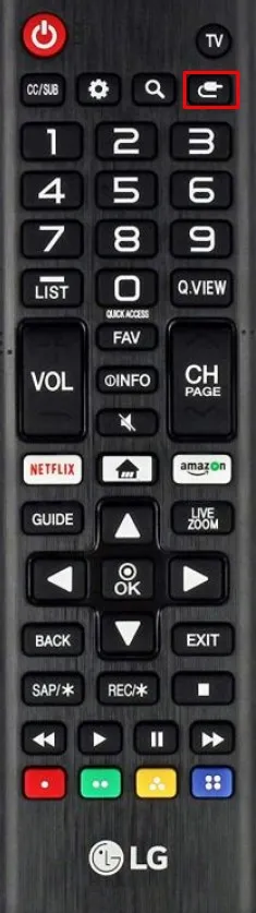 Input button on the LG TV remote